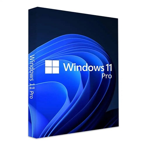 Windows 11 Pro.